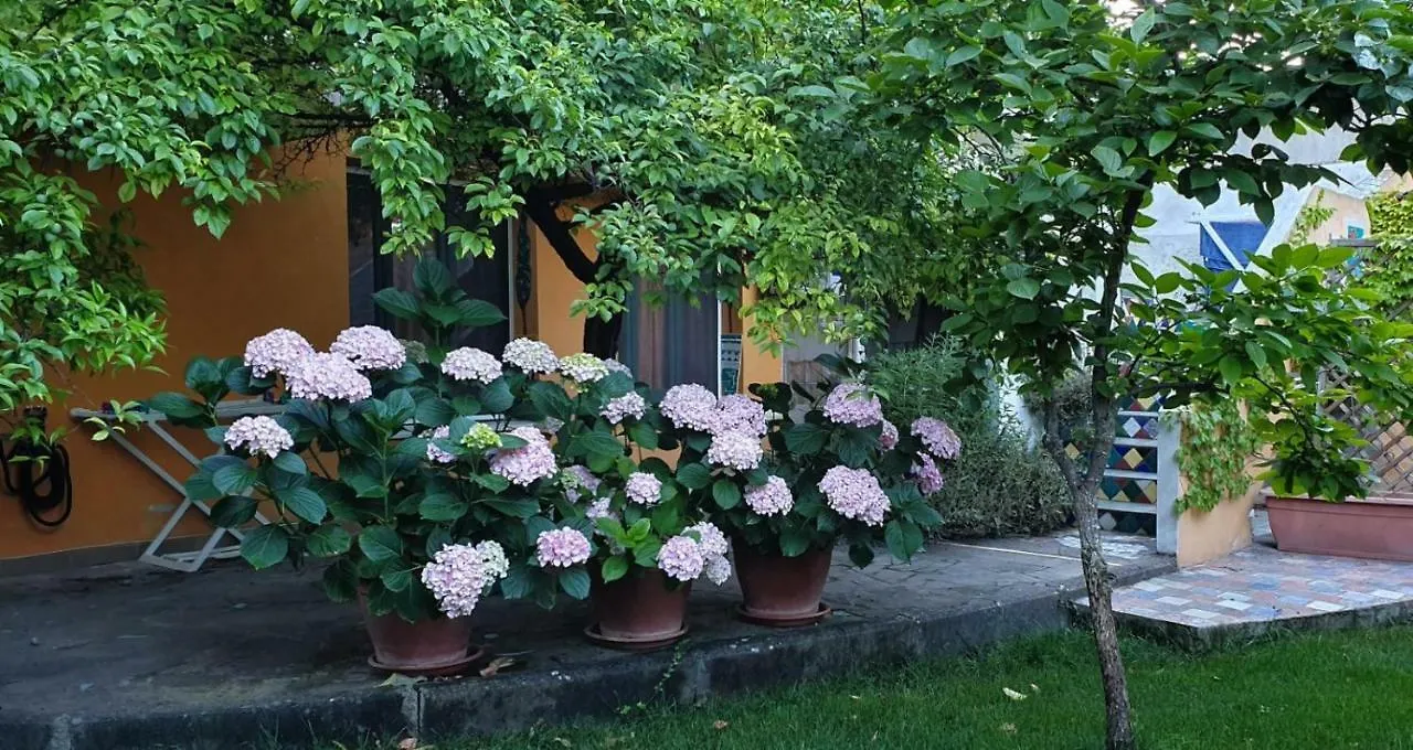 Bed & Breakfast L'Antica Cantina Usini